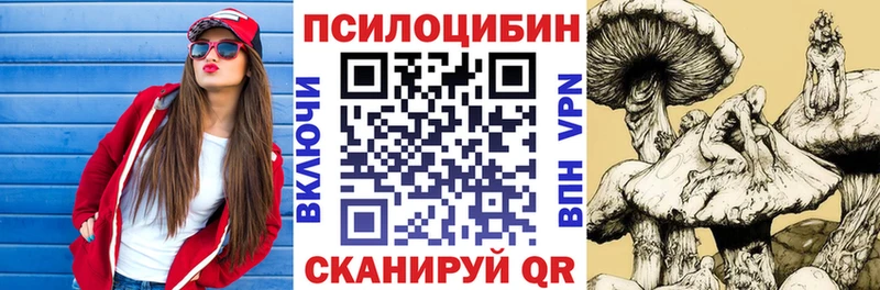 дарк нет состав  что такое   Куровское  Псилоцибиновые грибы Cubensis 