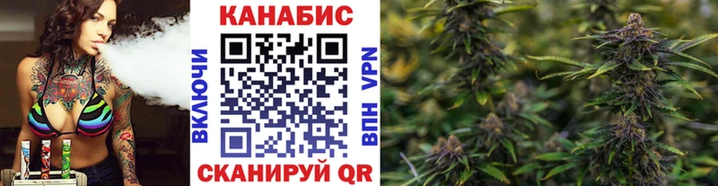 Бошки Шишки марихуана  где купить наркоту  Куровское 
